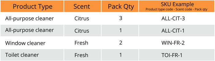 sku-coding-example-2-ledgergurus