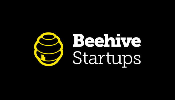Beehive Startups Features LedgerGurus