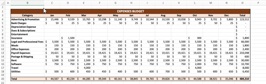 Expenses Budget