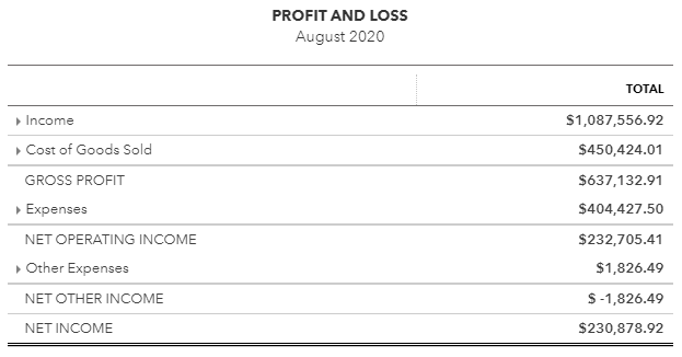 Profit and Loss Statement